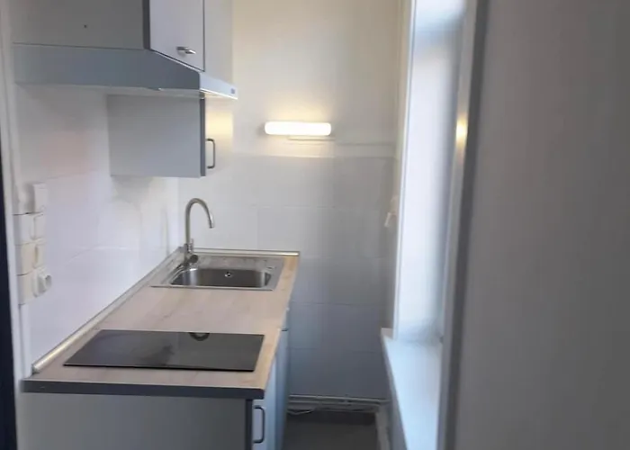 T2 Renove Proche Metro * Rijsel